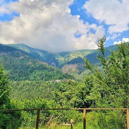 Appartamento Jever House Rigolato Esterno foto