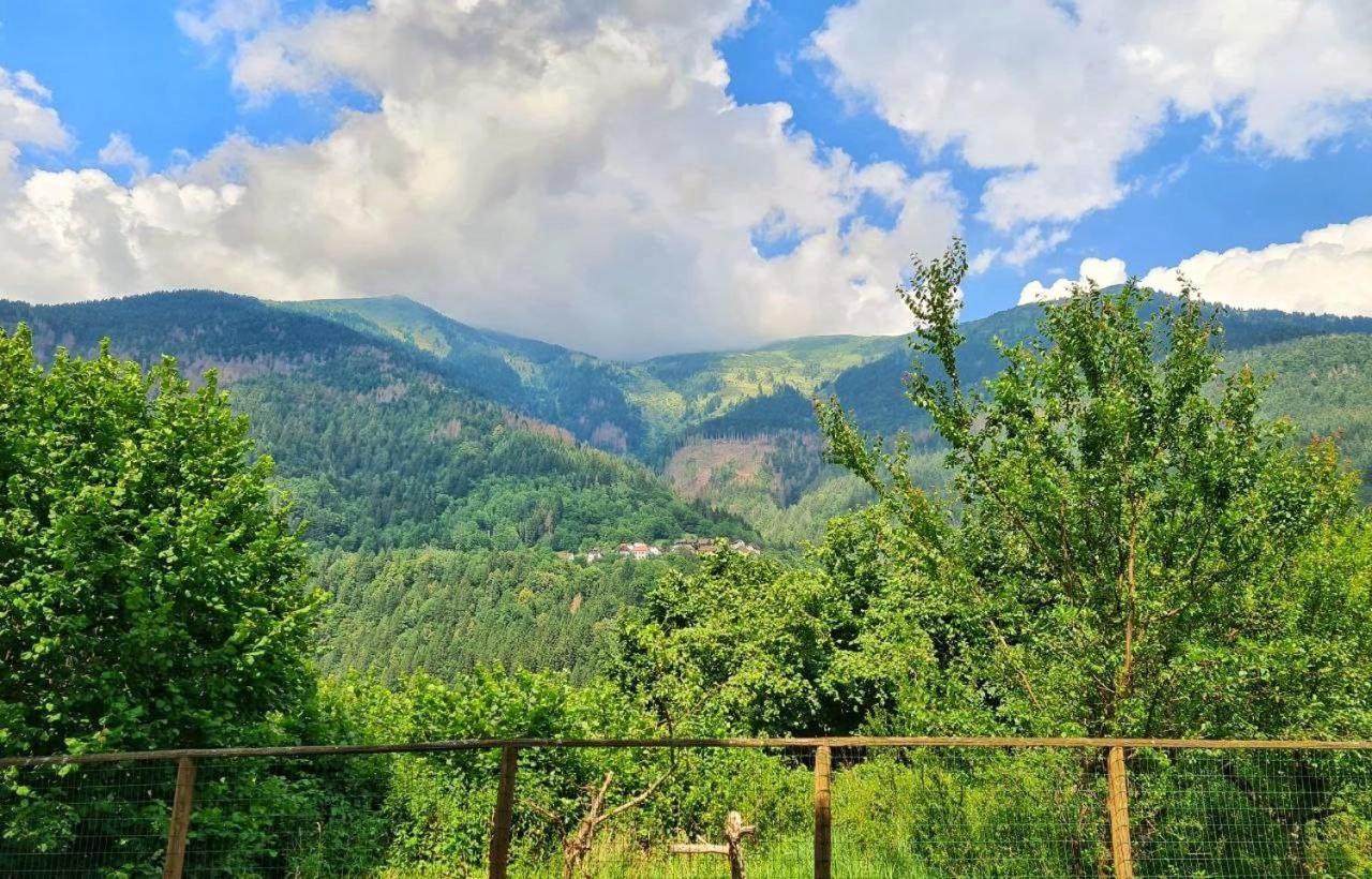 Appartamento Jever House Rigolato Esterno foto