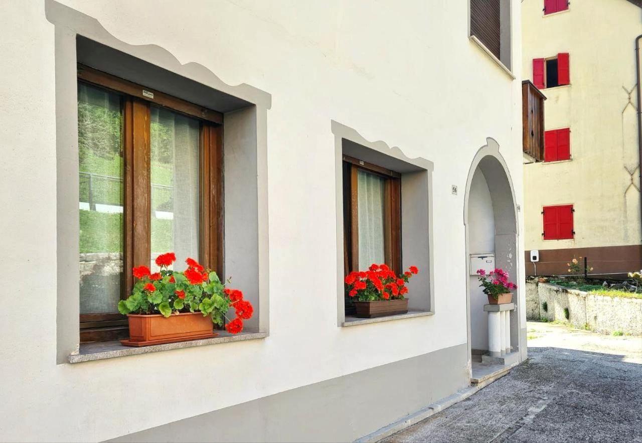 Appartamento Jever House Rigolato Esterno foto
